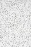 Трикотажная наволочка на молнии Березка (Фото 2)